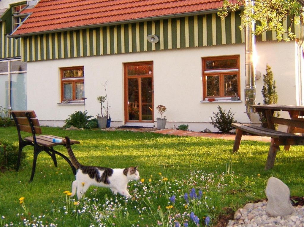 Bio Pension Kirschenfee Sontheim  Exterior foto